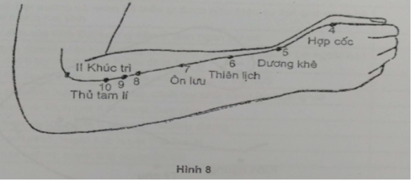 Thiên lịch