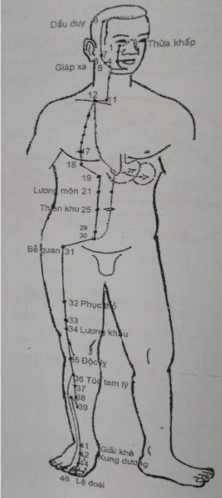 KINH VỊ - DƯƠNG MINH CHÂN
