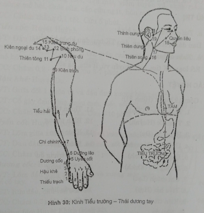  KINH TIỂU TRƯỜNG - THÁI DƯƠNG TAY