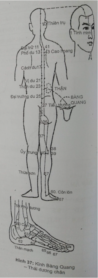 KINH BÀNG QUANG - THÁI DƯƠNG CHÂN