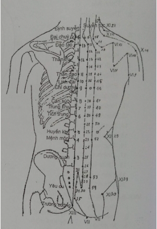 KINH HUYỆT VÙNG LƯNG