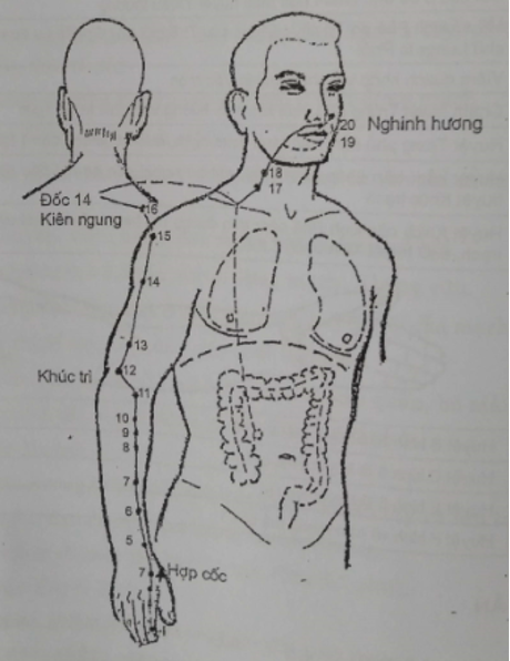 KINH ĐẠI TRƯỜNG - DƯƠNG MINH TAYt