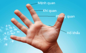 Chẩn mạch phụ nữ, trẻ nhỏ