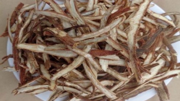 ĐAN SÂM ẨM - Vị thuốc Đan sâm