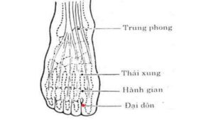 huyệt Đại đôn