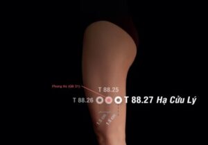 Huyệt Hạ cửu lý- Đổng thị kỳ huyệt