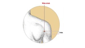 Vị trí huyệt Kiên trinh