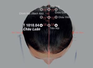 Huyệt Luân châu- Đổng thị kỳ huyệt