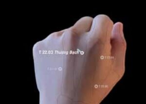 Huyệt Thượng Bạch - Đổng thị kỳ huyệt