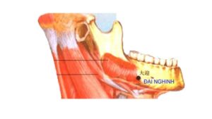 Huyệt đại nghênh