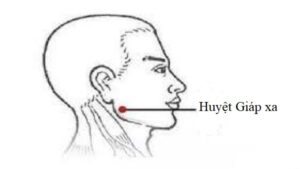Huyệt giáp xa