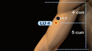 Huyệt hiệp bạch