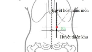 Huyệt hoạt nhục môn