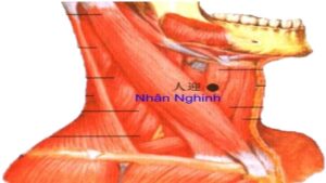 Huyệt nhân nghinh