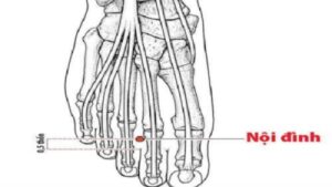 Huyệt nội đình