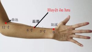 Huyệt ôn lưu