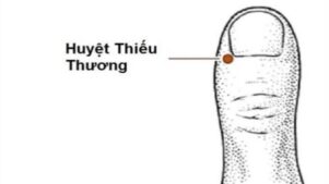 Huyệt thiếu thương