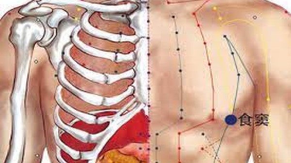 Huyệt thực đậu