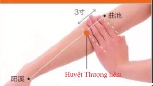 Vị trí huyệt Thượng liêm