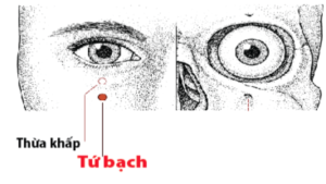 Huyệt tứ bạch