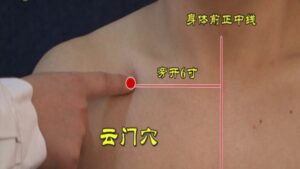 Vị trí huyệt Vân Môn