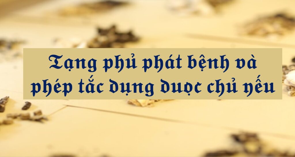 Tạng phủ phát bệnh và phép tắc dụng dược chủ yếu