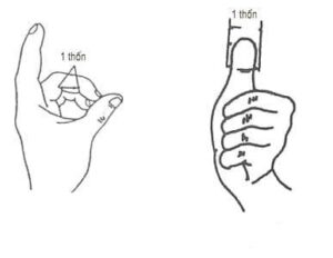 Thốn đồng thân