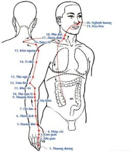 Thư dương minh đại trường
