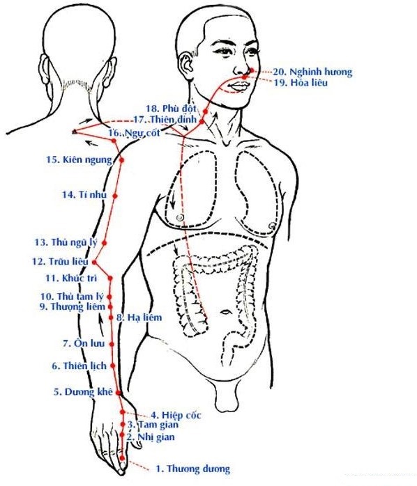 Thủ dương minh đại trường