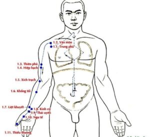 thủ thái âm phế