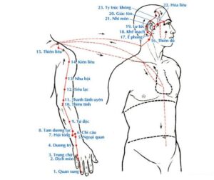 Thủ thiếu dương tam tiêu kinh