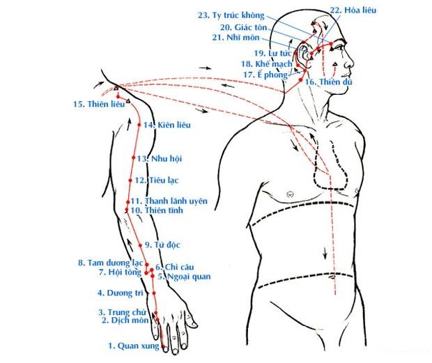 Thủ thiếu dương tam tiêu kinh