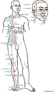Túc dương minh vị