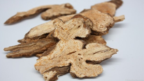 VỊ thuốc thương truật