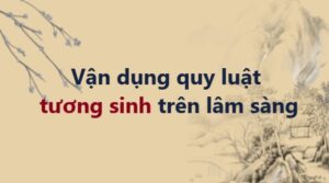 Vận dụng quy luật tương sinh trên lâm sàng