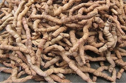 Vị thuốc Ba kích