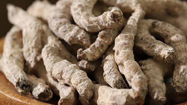 Vị thuốc Bạch cương tàm