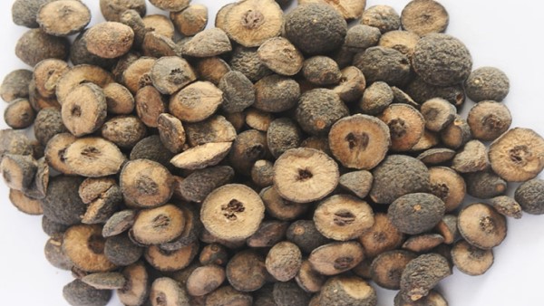 Vị thuốc Chỉ thực