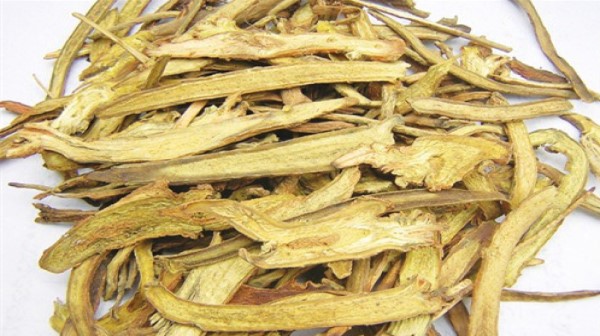 Vị thuốc Hoàng kỳ