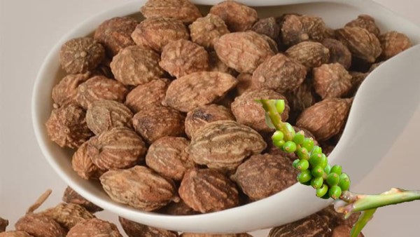 Vị thuốc Ích trí nhân