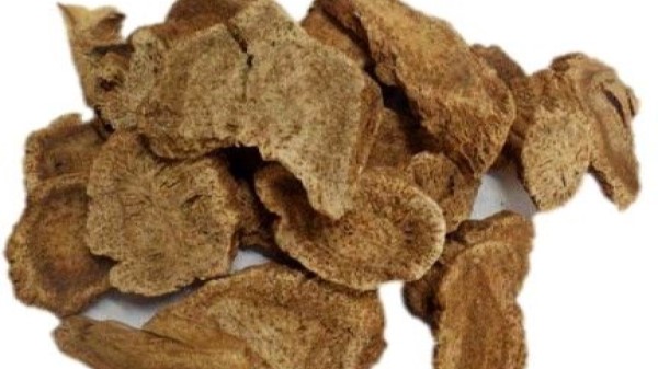 Vị thuốc Mộc hương