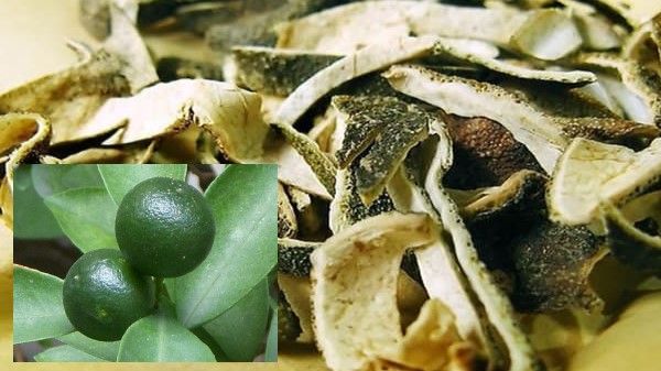 Vị thuốc Thanh bì 