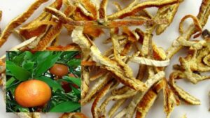 Vị thuốc Trần bì -Nhị trần thang - Tô tử giáng khí thang