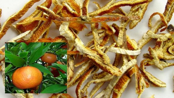 Vị thuốc Trần bì