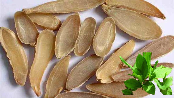 Vị thuốc Uất kim