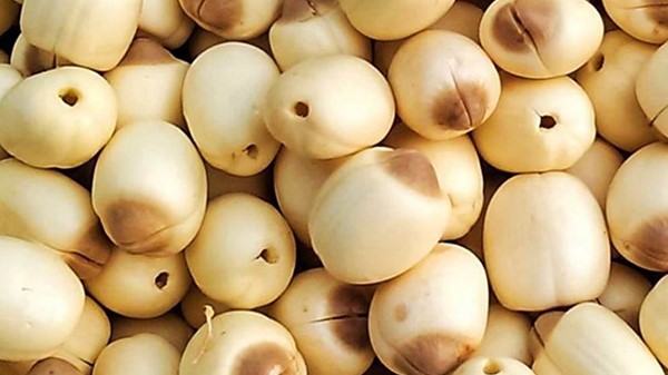 Vị thuốc liên nhục