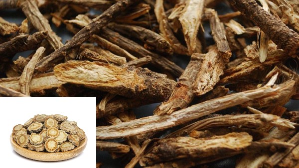 Vị thuốc phong phong