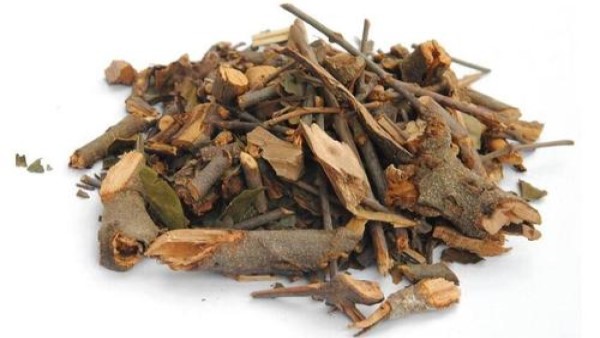 Vị thuốc tang ký sinh