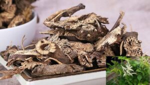 Vị thuốc thăng ma