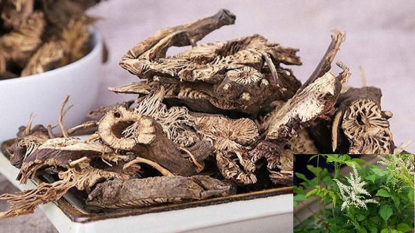 Vị thuốc thăng ma